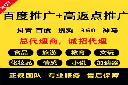 百度推广中SEO优化的成功案例分析